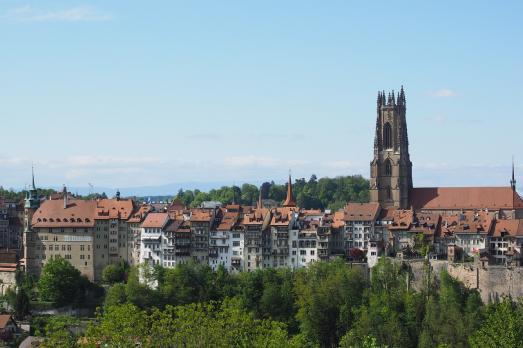 Fribourg cathedral﻿