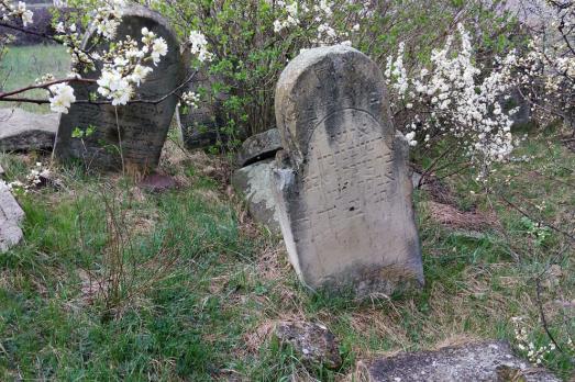 Alexandreni Jewish Cemetery