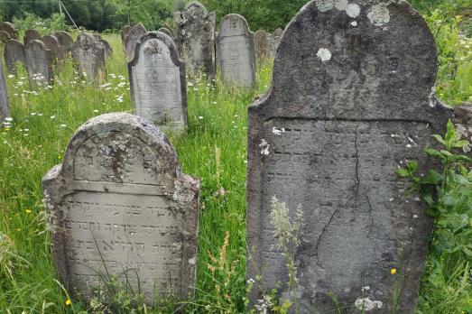 Dovhe Jewish Cemetery