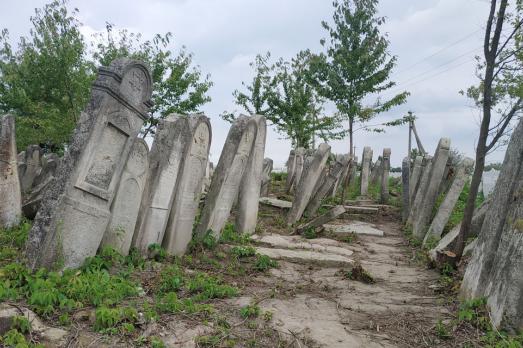 Nyzhni Stanivtsi Jewish Cemetery