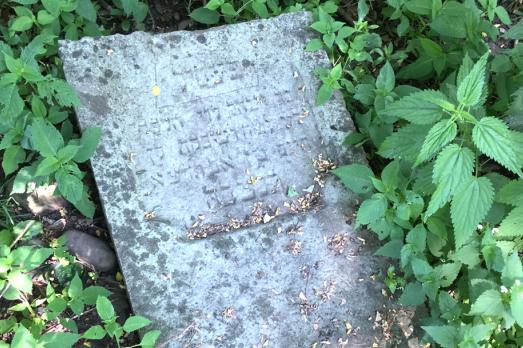 Tereblya Jewish Cemetery