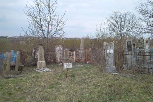 Zguritsa Jewish Cemetery