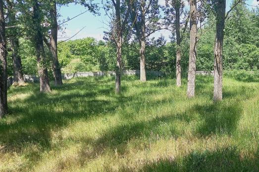 Gniewoszow (Regow Dolny) Jewish Cemetery