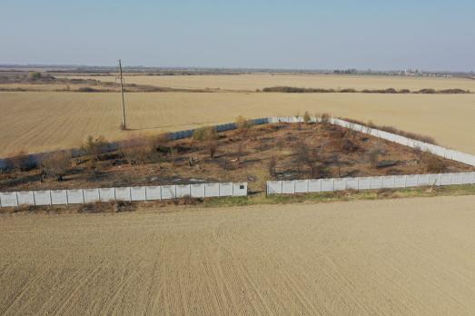 Haloch Jewish Cemetery