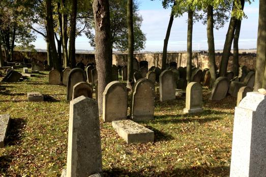 Oracov Jewish Cemetery