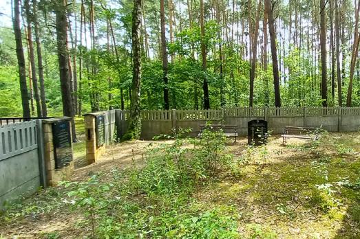 Sochocin Jewish Cemetery