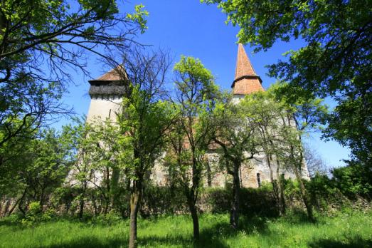 Movile Fortified Church