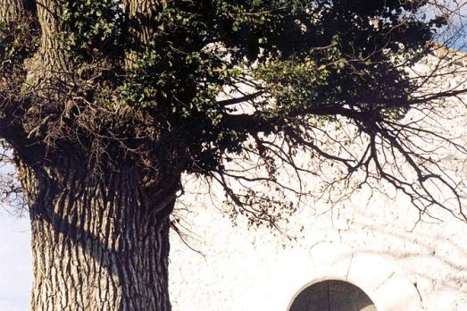 Hermitage of Saint Roch