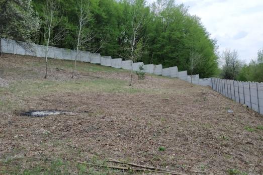 Bystrytsya Jewish Cemetery