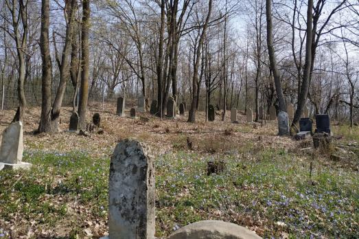 Chabanivka Jewish Cemetery