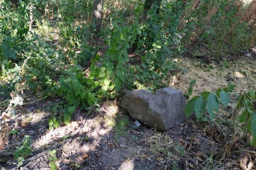 Illintsi Old Jewish Cemetery