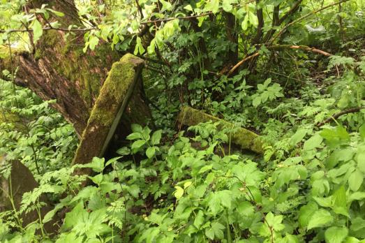 Repynne Jewish Cemetery