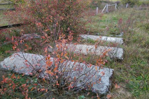Staryy Chortoryysk Jewish Cemetery