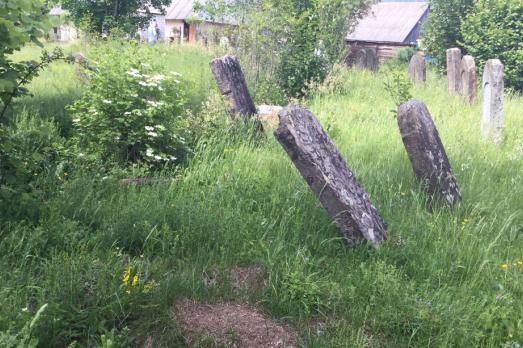 Synevyr Jewish Cemetery