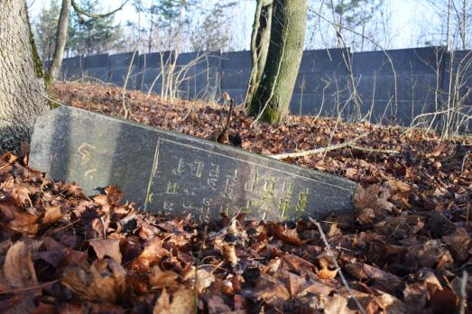 Babownya Jewish Cemetery