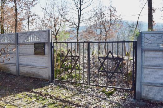 Danylovo Jewish Cemetery