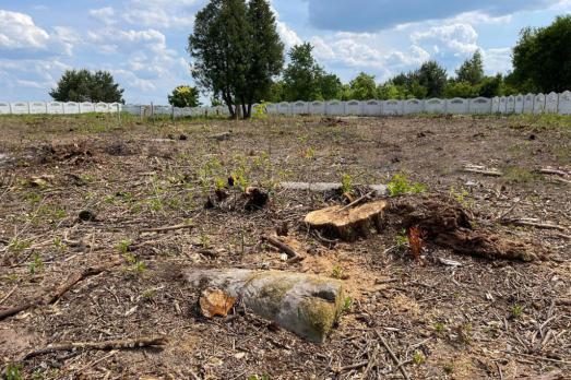 Lyuboml New Jewish Cemetery