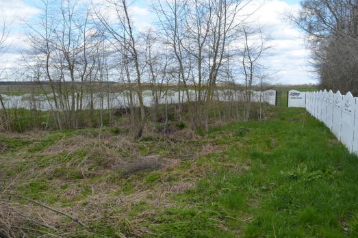 Melnytsya-Podilska Old Jewish Cemetery