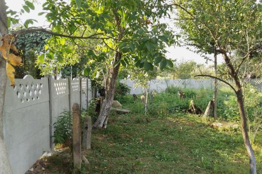 Nyzhne Selyschche Jewish Cemetery