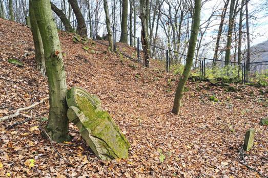 Velky Saris Jewish Cemetery