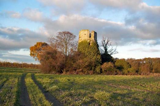 St Mary's Church Ruins, Fleggburgh