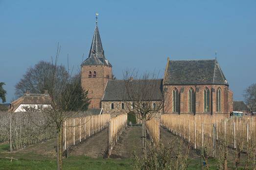 Vituskerk